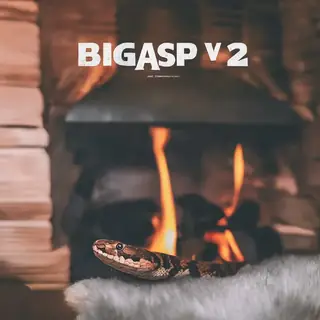 bigASP