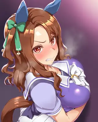 Sugoi Hi Style (for Anima / illustrious /animagine)