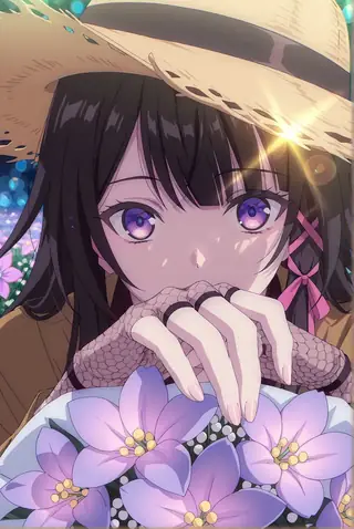 Hoyo Anime (style)