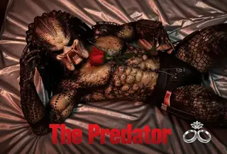 The Predator ZIT Flux1.D SDXL