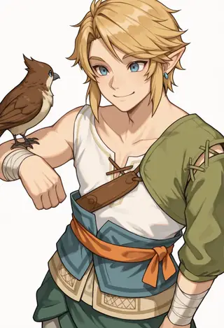 Link (The Legend of Zelda: Twilight Princess) |2 Outfits| [Illustrious] Character Lora Ordon V1