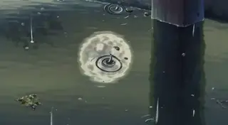 Beauty of rain wan 2.2 t2v A14B HIGH