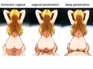 vaginal depth concept