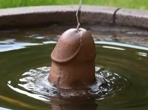 penis real2