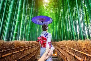 kansai neko