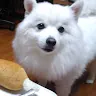 gamemon1004